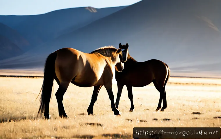 몽골의 독특한 동물 - Photorealistic Przewalski’s horses standing on the open Mongolian steppe at sunrise, one sturdy dun-...